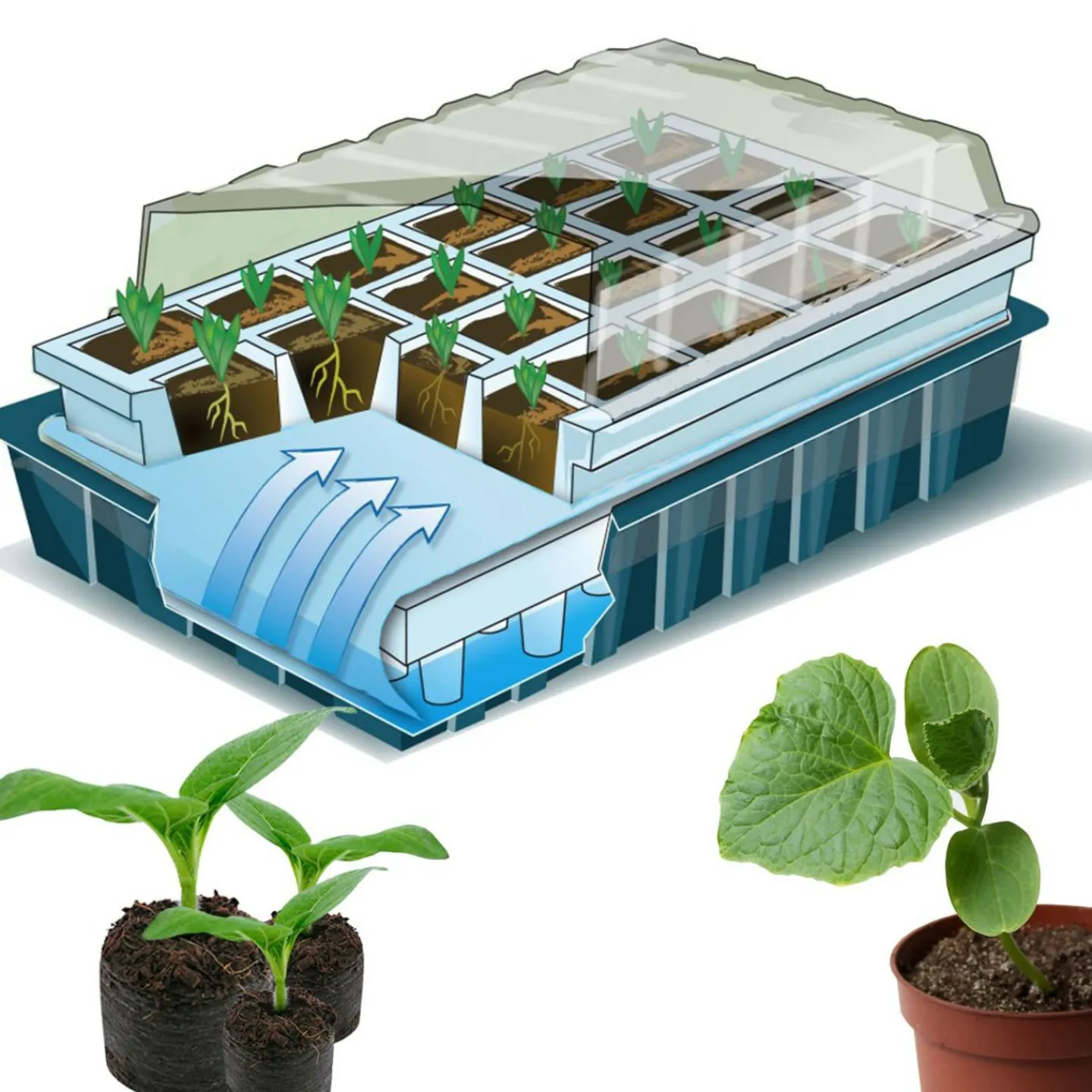 2 Kits de germination pour 80 godets*IDMarket Outlet