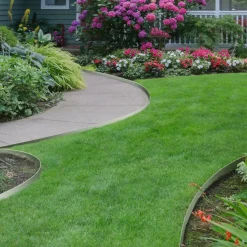 Bordurette de jardin en acier 5 m*IDMarket Sale