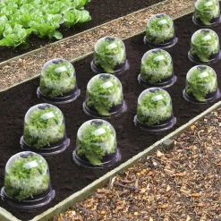 Cloches pour plants de salade X12*IDMarket Outlet