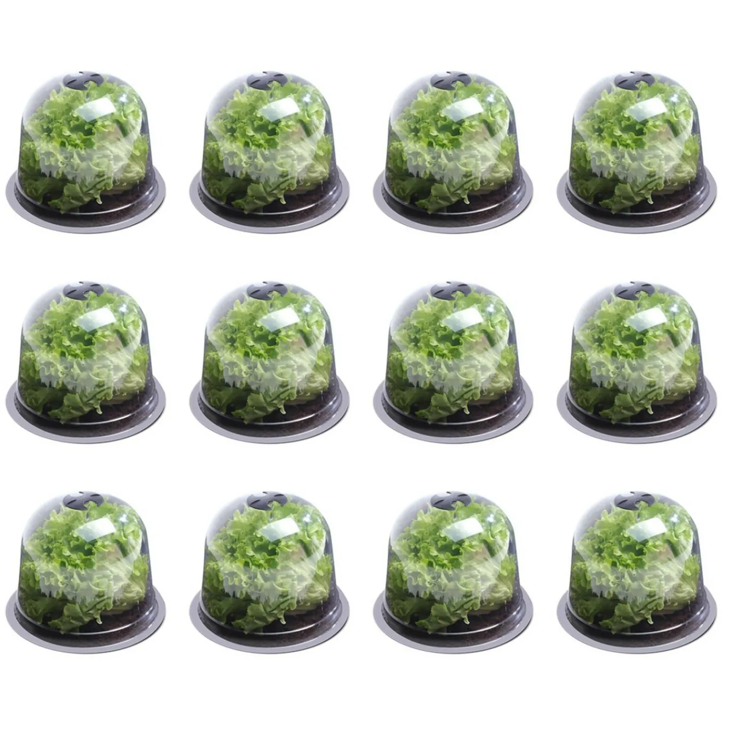 Cloches pour plants de salade X12*IDMarket Outlet