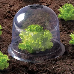 Cloches pour plants de salade X12*IDMarket Outlet