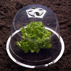 Cloches pour plants de salade X12*IDMarket Outlet