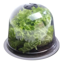 Cloches pour plants de salade X12*IDMarket Outlet