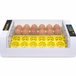 Couveuse incubateur 24 œufs*IDMarket Sale