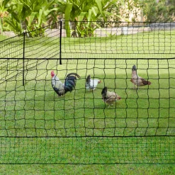 Filet à poules de 50m avec porte*IDMarket Outlet