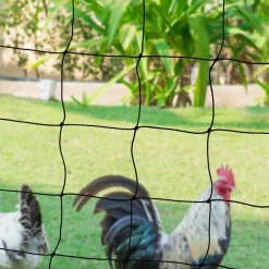 Filet à poules de 50m avec porte*IDMarket Outlet
