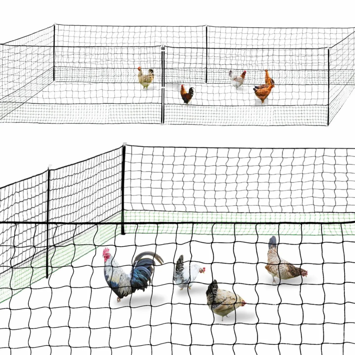 Filet pour poulailler 12 m*IDMarket Hot