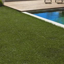 Gazon synthétique 40 mm d'épaisseur 1x10 M pour jardin / balcon*IDMarket Hot