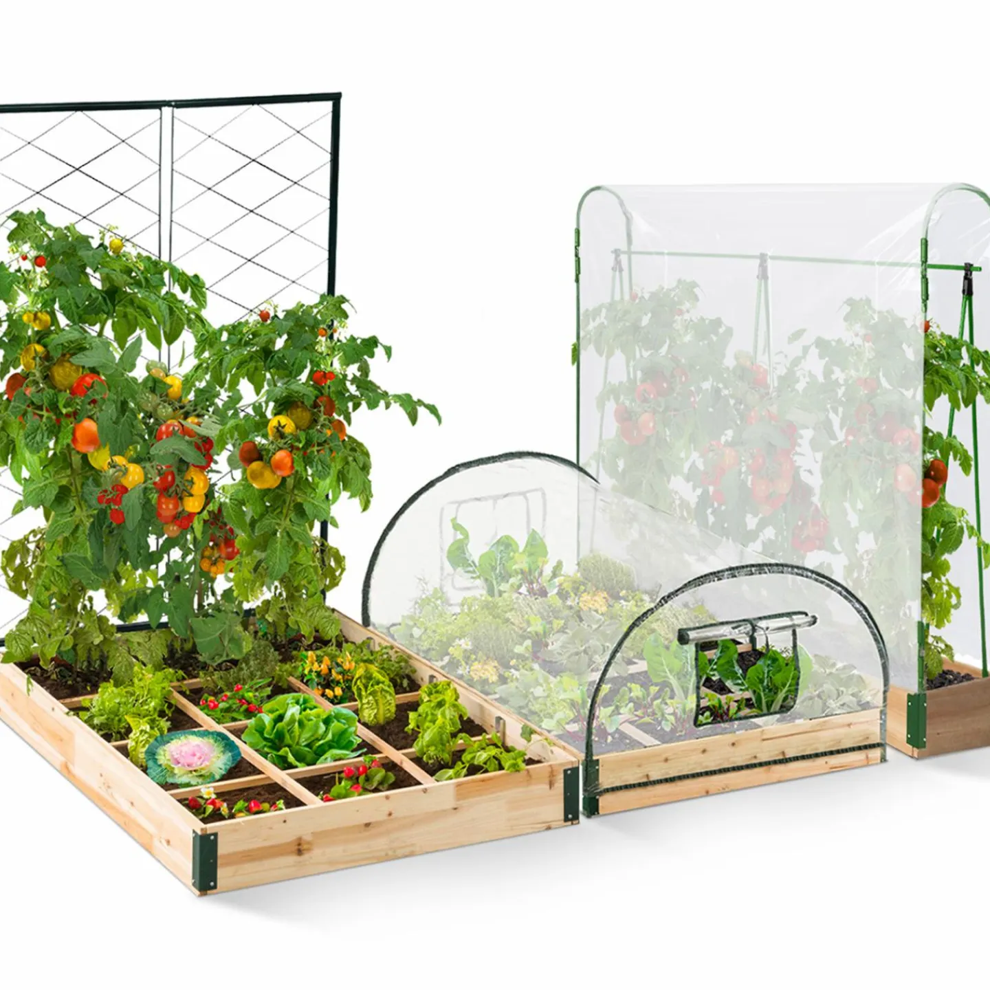 Kit complet 3 carrés potager et serre à tomates + treillis + housse*IDMarket Online