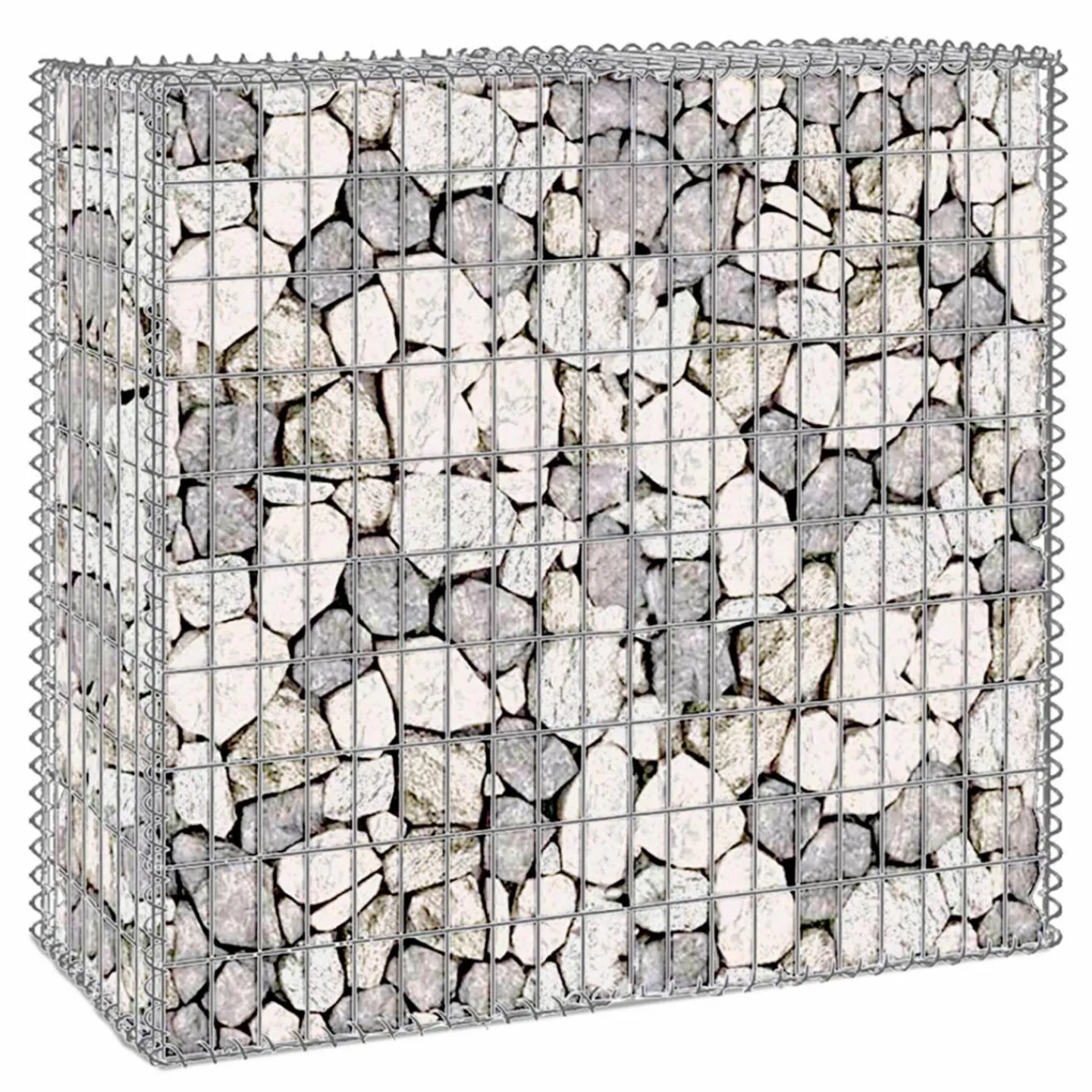 Lot de 2 gabions pour pierre 100x30x80 cm en acier pour jardin*IDMarket Sale
