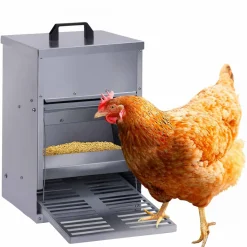 Mangeoire à poule anti-nuisible*IDMarket Sale