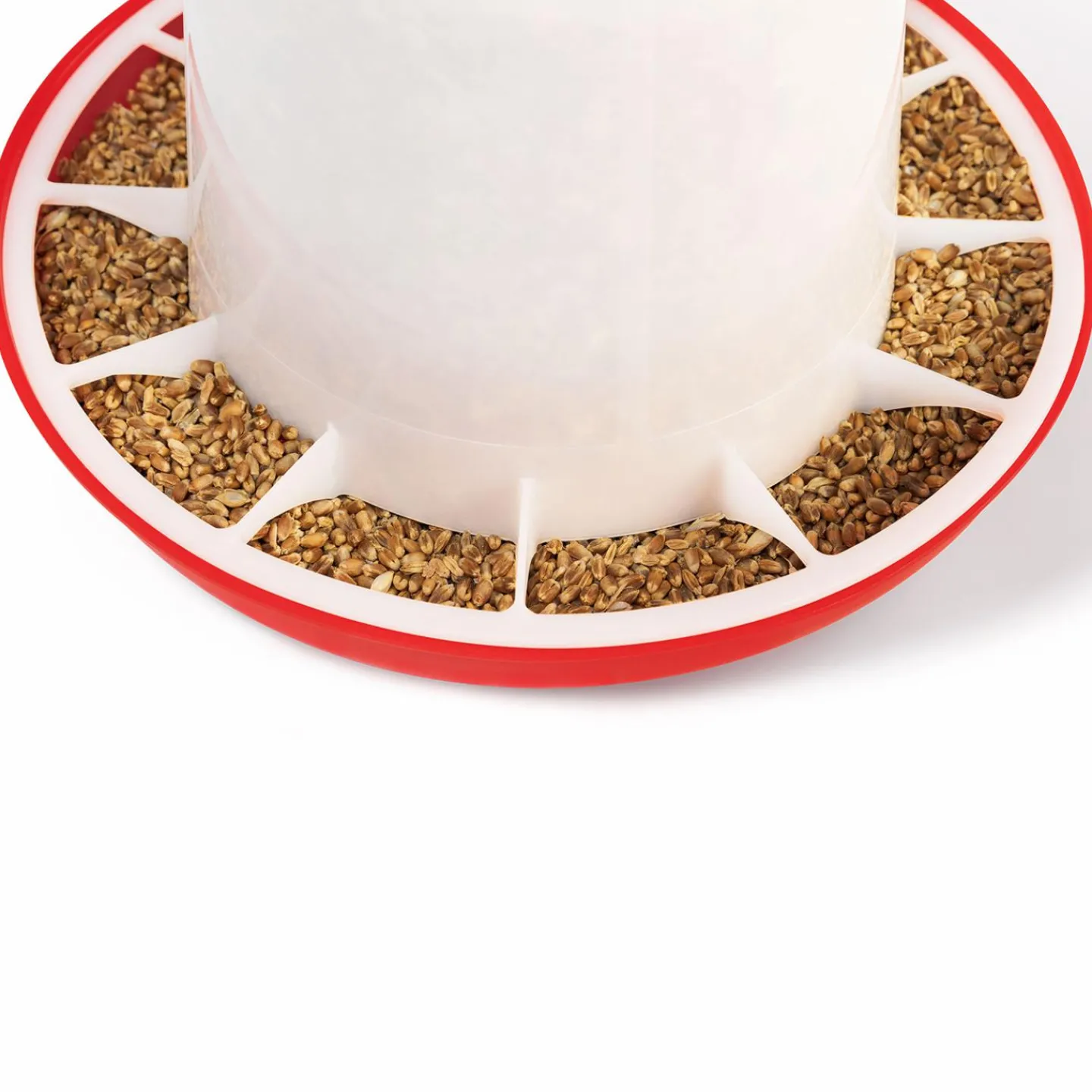 Mangeoire et abreuvoir pour poules*IDMarket Clearance