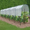 Serre à tomates tunnel 6 m*IDMarket New