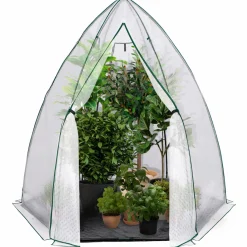 Serre hivernage grand format pour plantes*IDMarket Sale