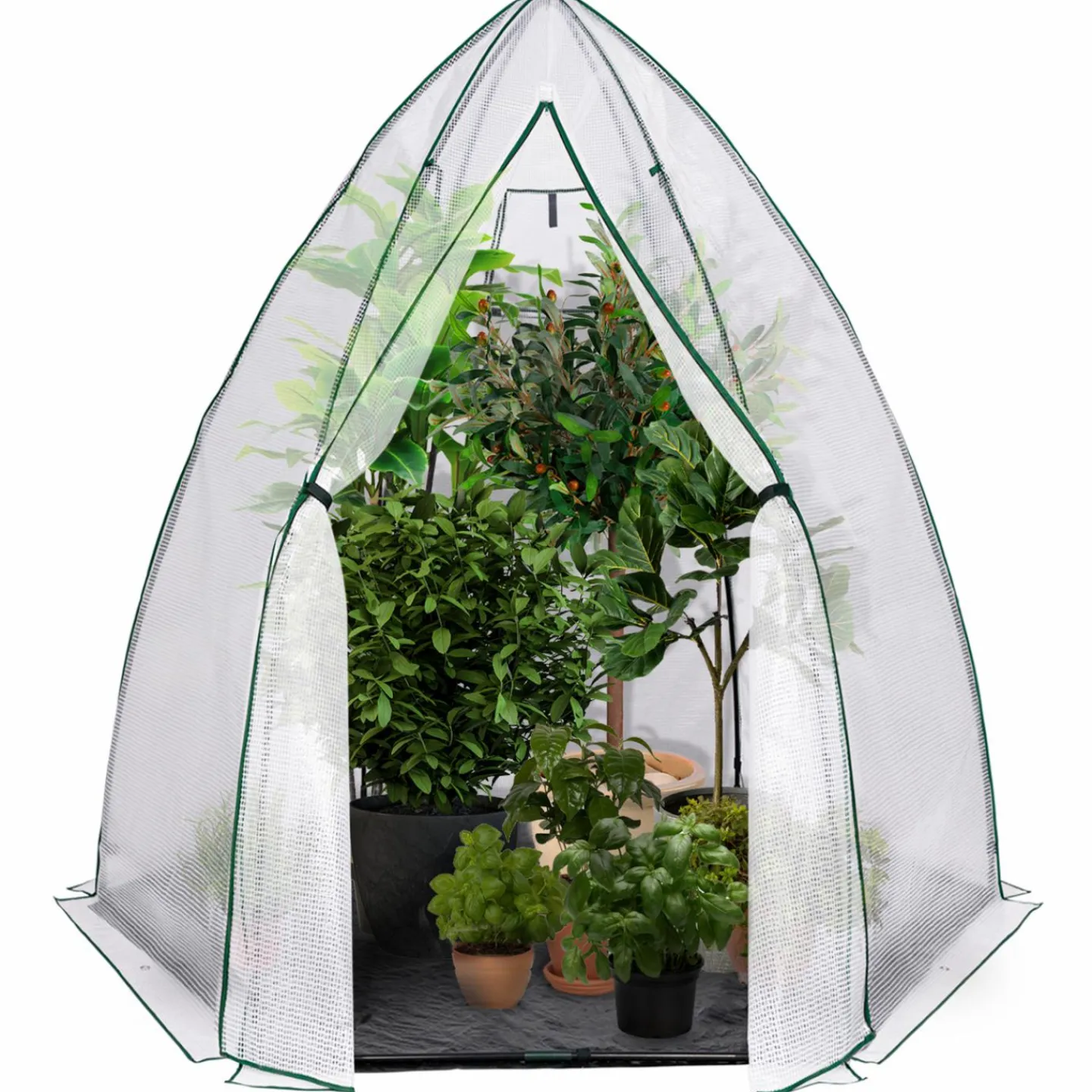 Serre hivernage grand format pour plantes*IDMarket Sale