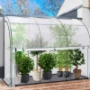 Serre murale pour hivernage des plantes*IDMarket Outlet