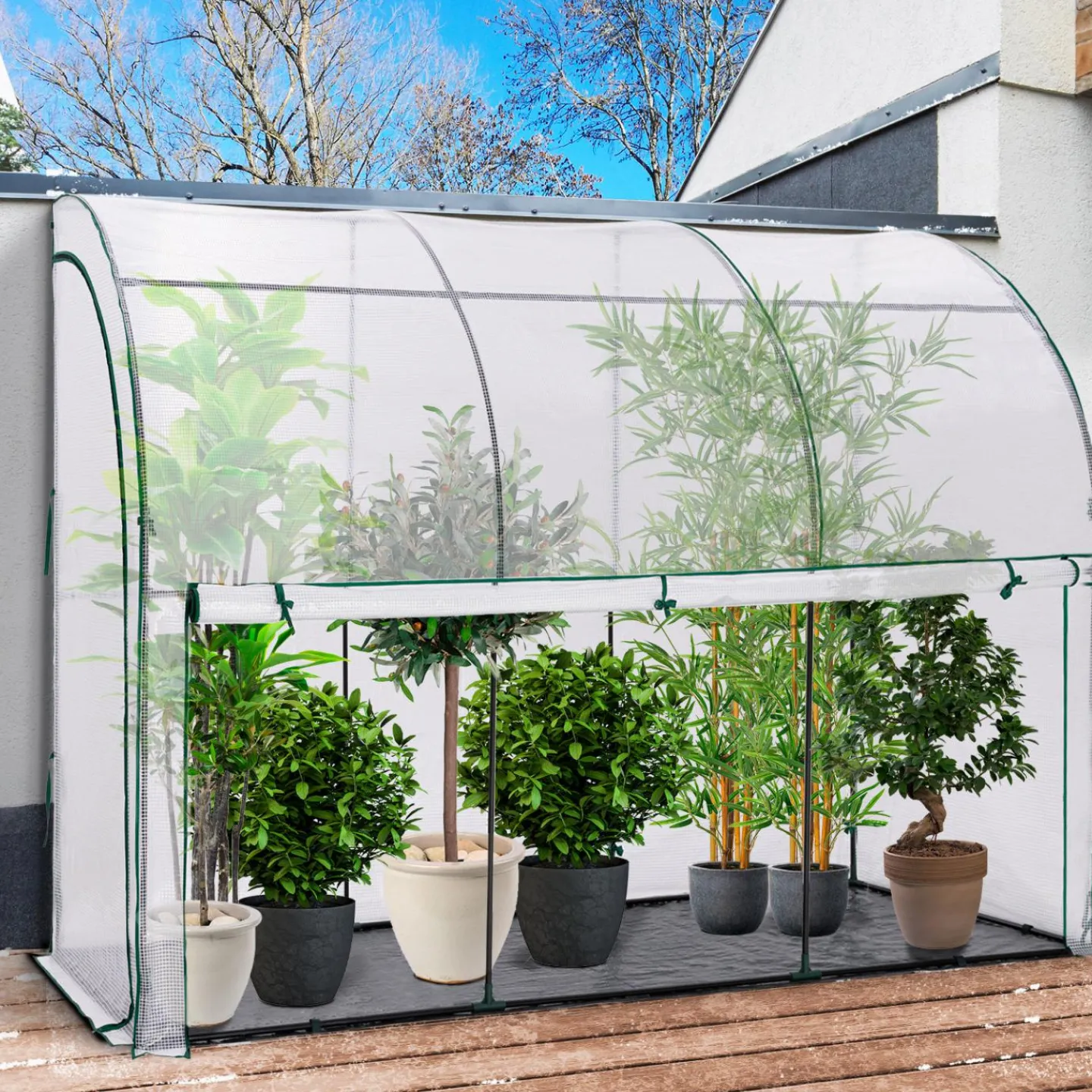 Serre murale pour hivernage des plantes*IDMarket Outlet
