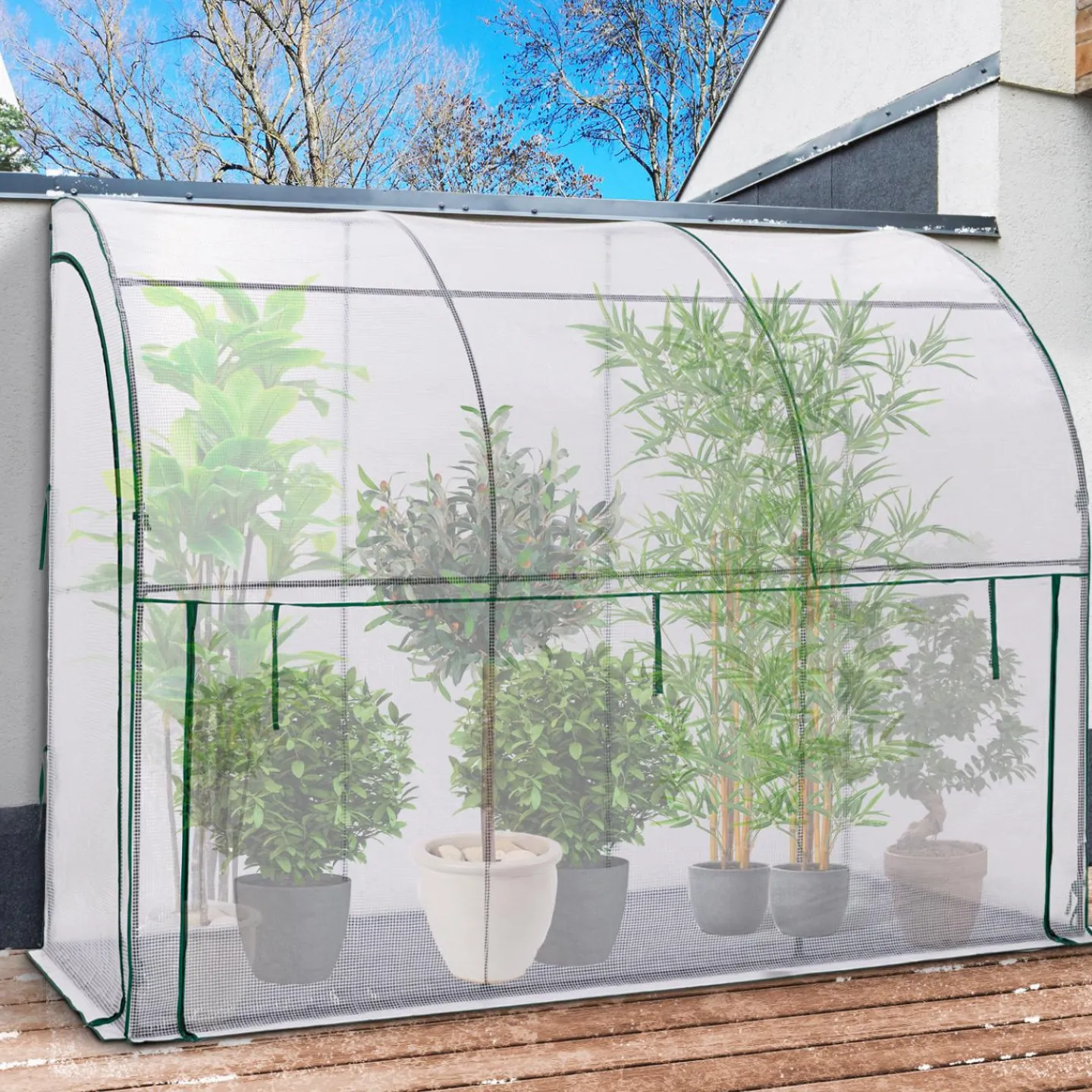 Serre murale pour hivernage des plantes*IDMarket Outlet