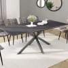 Table à manger extensible 6 à 10 personnes avec plateau effet béton pied araignée*IDMarket Outlet