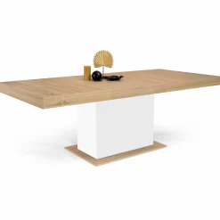 Table avec pied central bois et blanc extensible*IDMarket Best