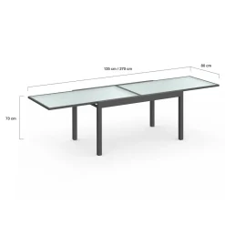 Table de jardin extensible 12 places grise avec chaises*IDMarket Discount