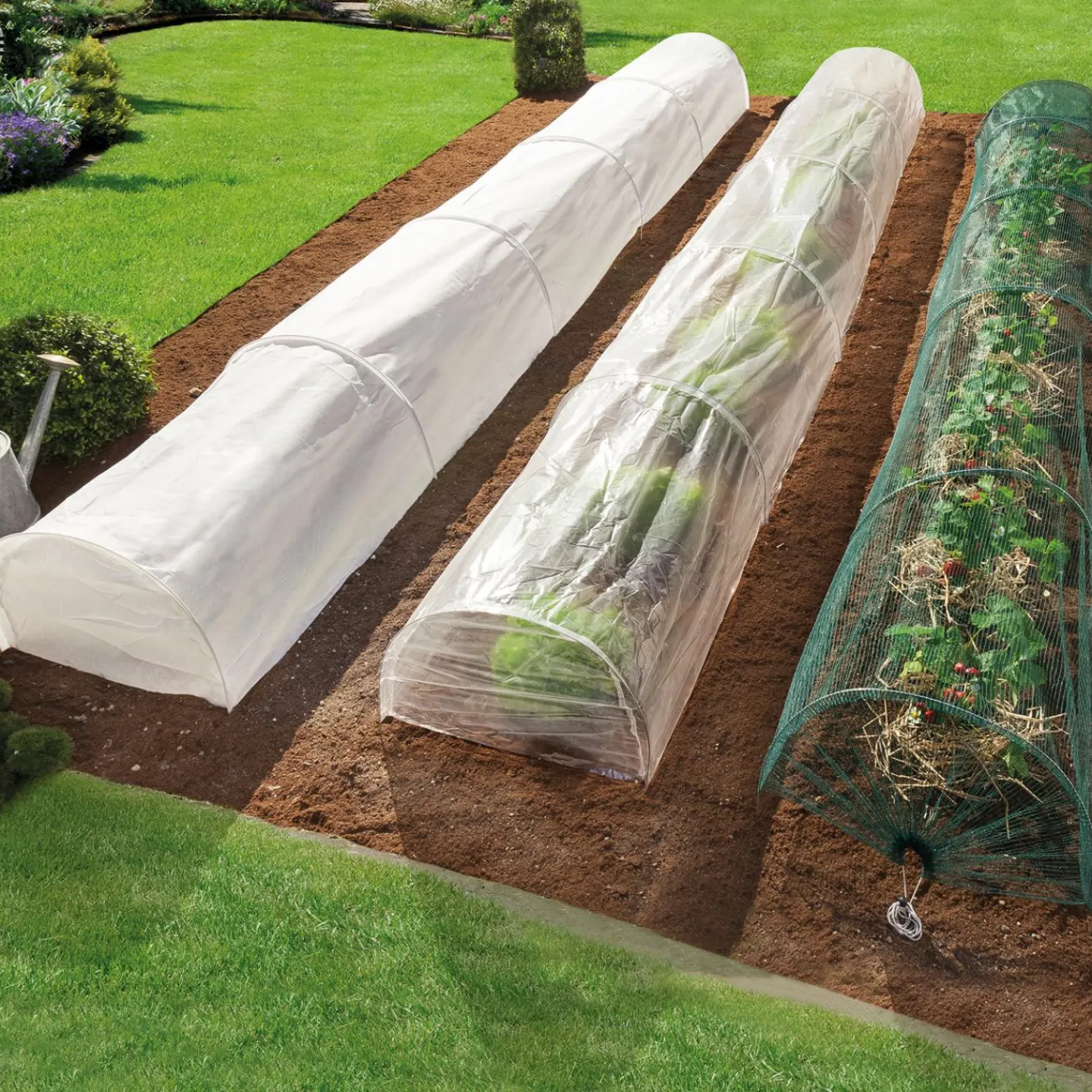 Tunnel de forçage pour cultures*IDMarket Sale