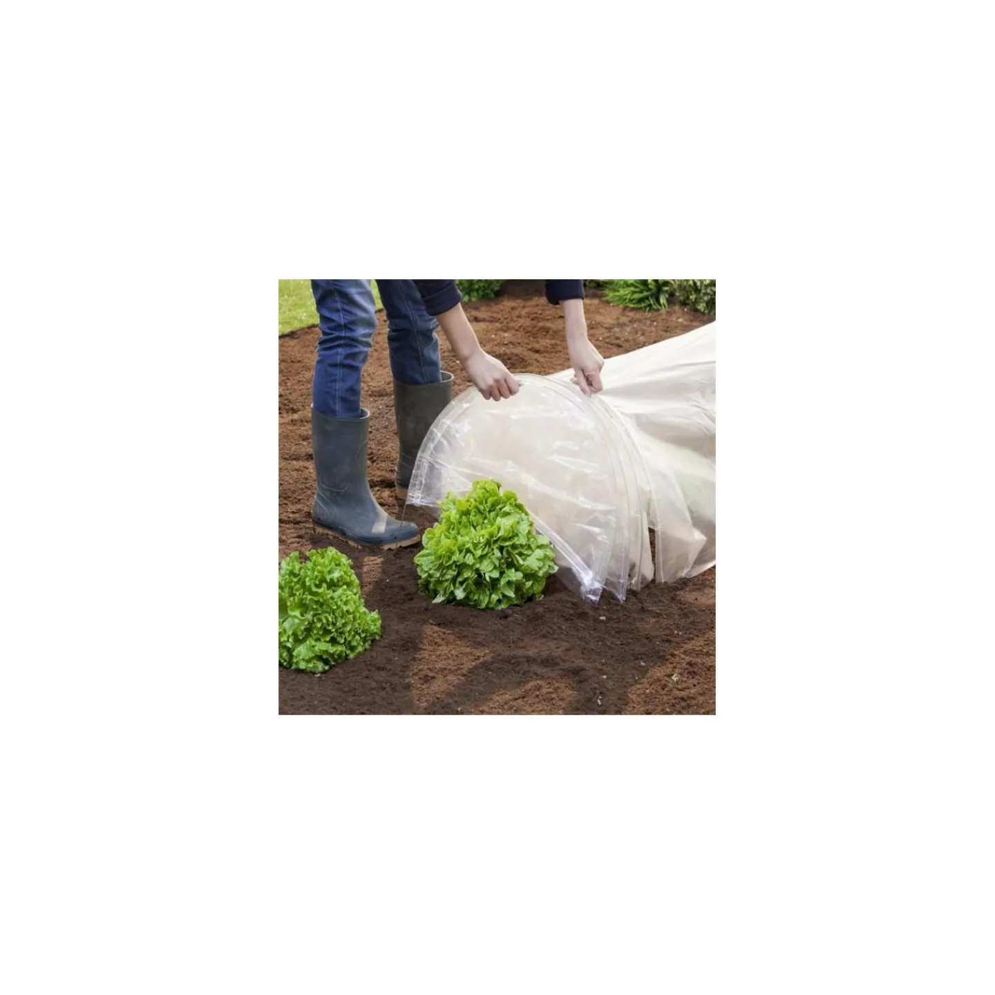 Tunnel de forçage pour cultures*IDMarket Sale